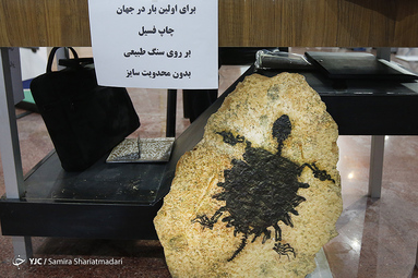 نمایشگاه تلکام پلاس ۹۸