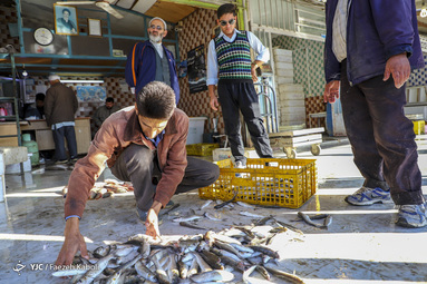 بازار خرید ماهی شب یلدا در گرگان