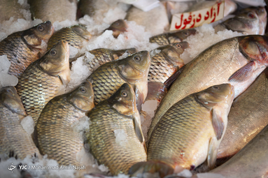 بازار شب یلدا در همدان