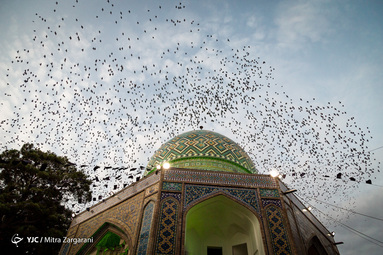 قدمگاه؛ بزرگترین یادگار سفر امام رضا(ع) به نیشابور