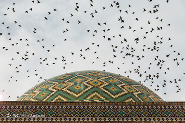 قدمگاه