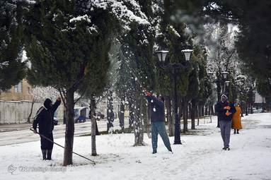 برف در یاسوج