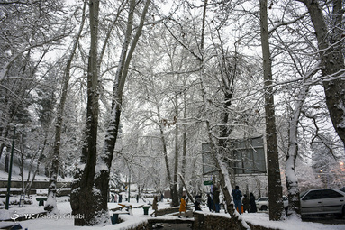 برف در یاسوج