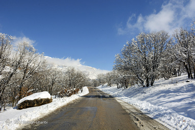 برف در یاسوج