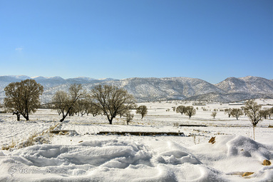 برف در یاسوج