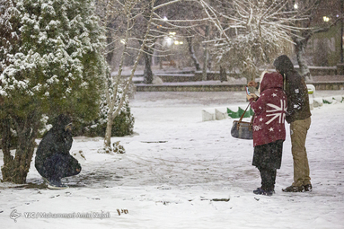بارش شبانه برف در همدان‎