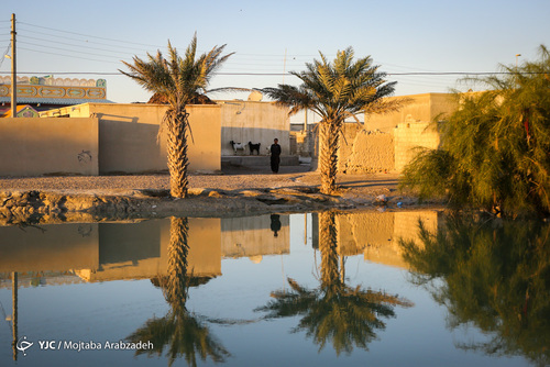 سیل و آبگرفتگی در دشت یاری