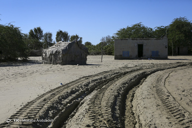 خسارت سیل به احشام در منطقه زرآباد سیستان و بلوچستان