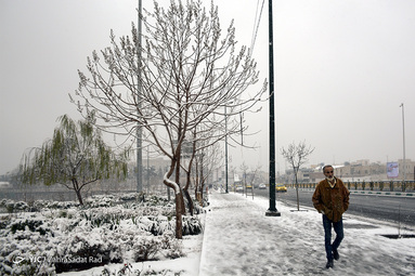 بارش برف در تهران