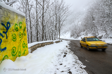 برف زمستانی در ارتفاعات جنگل توسکستان استان گلستان