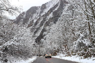برف زمستانی در ارتفاعات جنگل توسکستان استان گلستان