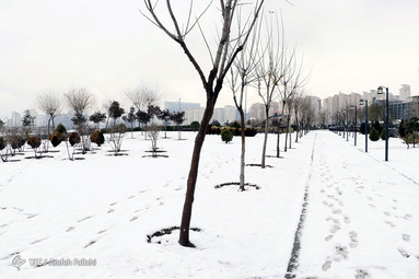 یک روز برفی در تهران