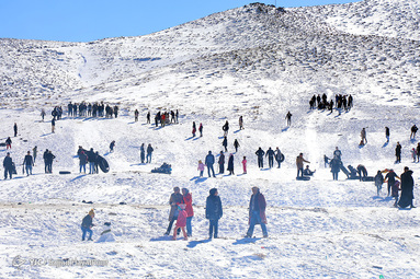 تفریحات زمستانی در شهر قم