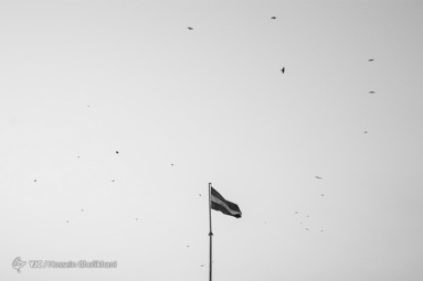 تجمع سیاه