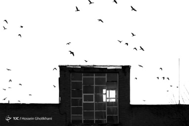 تجمع سیاه