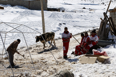 خسارات وارده و امدادرسانی به روستای زلزله زده کمرآباد آرندی شیراز