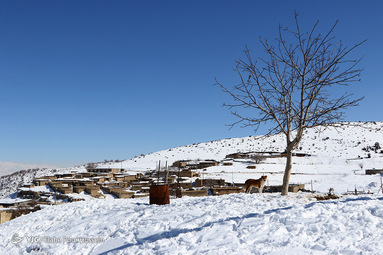 خسارات وارده و امدادرسانی به روستای زلزله زده کمرآباد آرندی شیراز