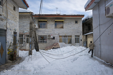 بارش سنگین برف در رشت موجب شکستگی درختان، آسیب به شبکه برق رسانی و قطعی دو روزه برق در شهر شد
