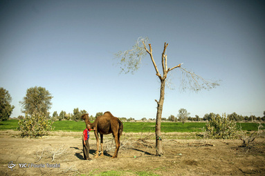 کودکان غرق در رنگ