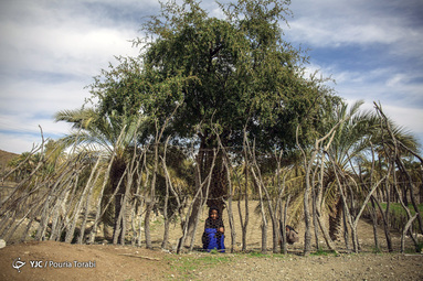 کودکان غرق در رنگ