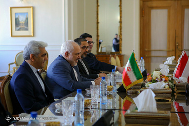 دیدار وزیرخارجه اتریش با ظریف