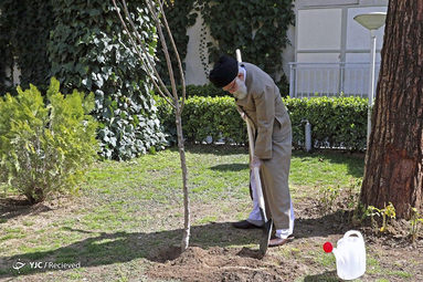 کاشت نهال توسط «مقام معظم رهبری»