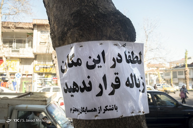 با درختان مهربان باشیم