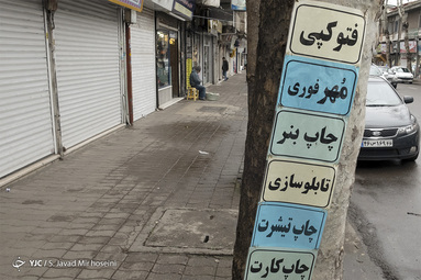 با درختان مهربان باشیم