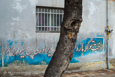 درختانی که نفس نمی‌کشند