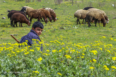 طبیعت زیبای بهاری در گلستان