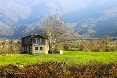 طبیعت زیبای بهاری در گلستان