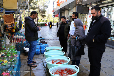 زندگی در جریان است / شیراز