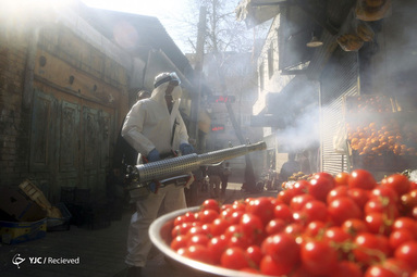 کرونا در ایران