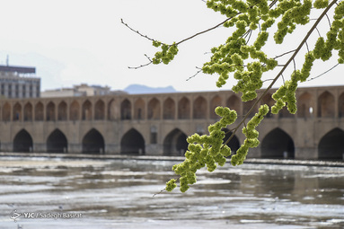 اصفهان اگرچه شهری کویری است اما در بهار زیبایی شگفت انگیزی دارد و همراهی طبیعت با معماری آن زیبایی خاصی به این شهر بخشیده است