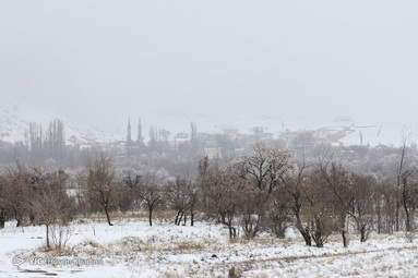 شکوفه‌های بهاری روستای انجدان استان مرکزی با شروع فصل بهار جوانه زده و شکوفا شده‌اند. اما بارش برف بهاری صحنه های زیبایی خلق می کند.