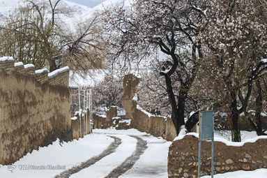 شکوفه‌های بهاری روستای انجدان استان مرکزی با شروع فصل بهار جوانه زده و شکوفا شده‌اند. اما بارش برف بهاری صحنه های زیبایی خلق می کند.