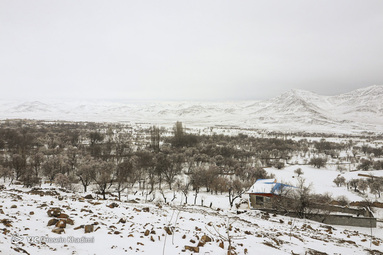 شکوفه‌های بهاری روستای انجدان استان مرکزی با شروع فصل بهار جوانه زده و شکوفا شده‌اند. اما بارش برف بهاری صحنه های زیبایی خلق می کند.