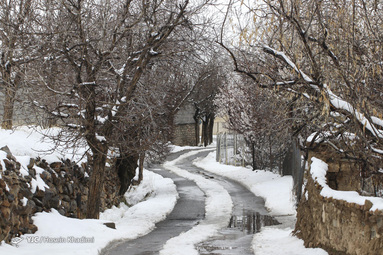 شکوفه‌های بهاری روستای انجدان استان مرکزی با شروع فصل بهار جوانه زده و شکوفا شده‌اند. اما بارش برف بهاری صحنه های زیبایی خلق می کند.