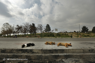 بهار ۹۹/تهران ۲