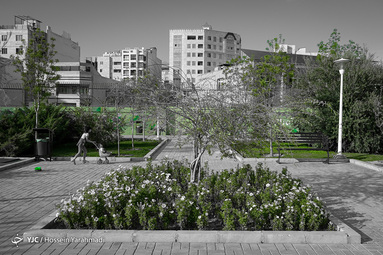 سرسبزی بهار