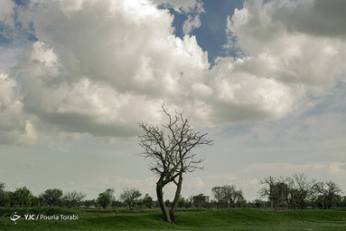 طبیعت زیبای بهاری در قزوین