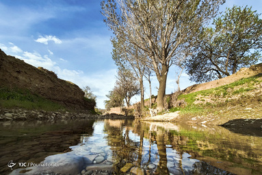 طبیعت زیبای بهاری در قزوین