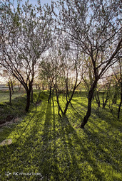 طبیعت زیبای بهاری در قزوین