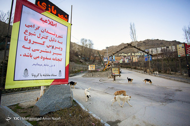 روز طبیعت/ورودی دهکده گنجنامه همدان
