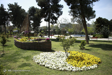 روز طبیعت/بوستان نسترن محله پیروزی تهران