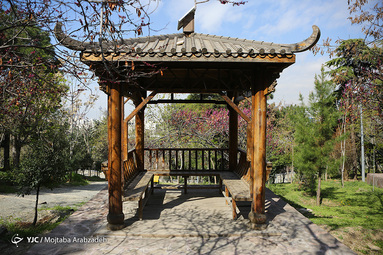 روز طبیعت/پل طبیعت تهران