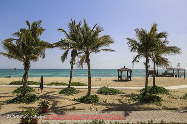 روز طبیعت/جزیره کیش
