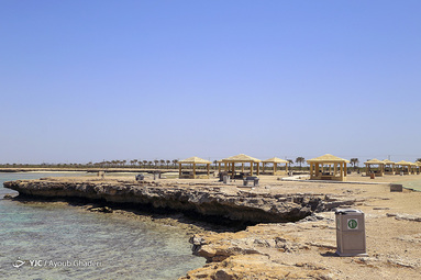 روز طبیعت/جزیره کیش