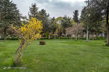 روز طبیعت/ایلام
