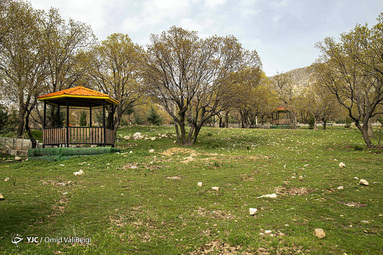 روز طبیعت/ایلام